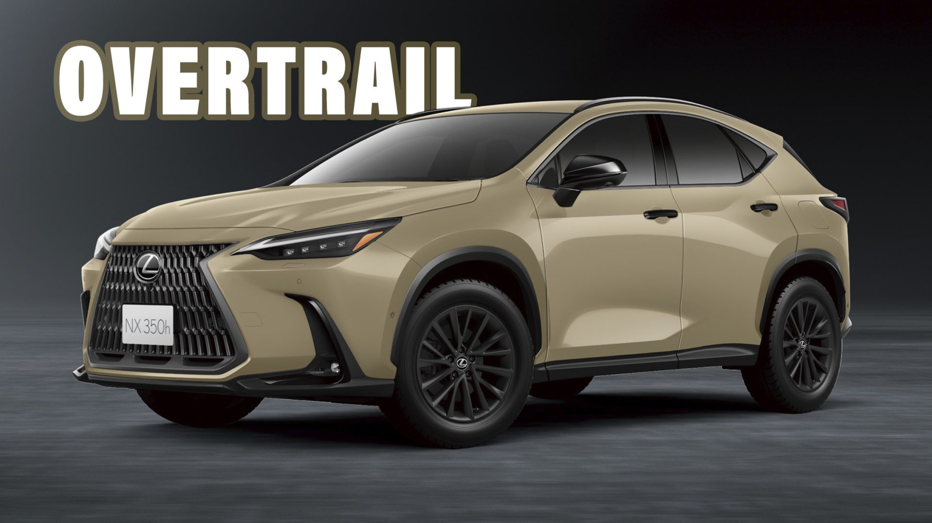 2024-Lexus-NX-Overtrail-main